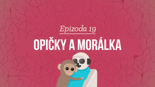 Psychologie: Opičky a morálka