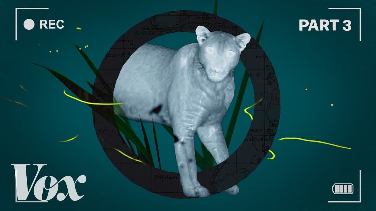 Zázračná planeta II: Jak vznikají noční záběry