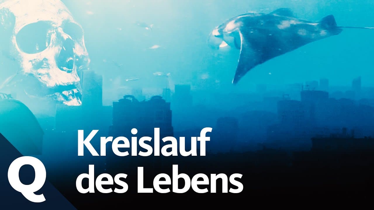 Opravdu je smrt koncem?