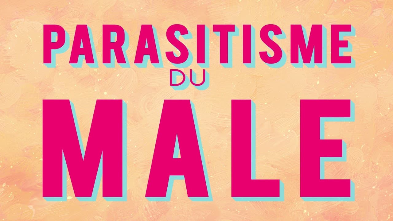 Proč mámě dvě pohlaví (a ne 20 tisíc)?