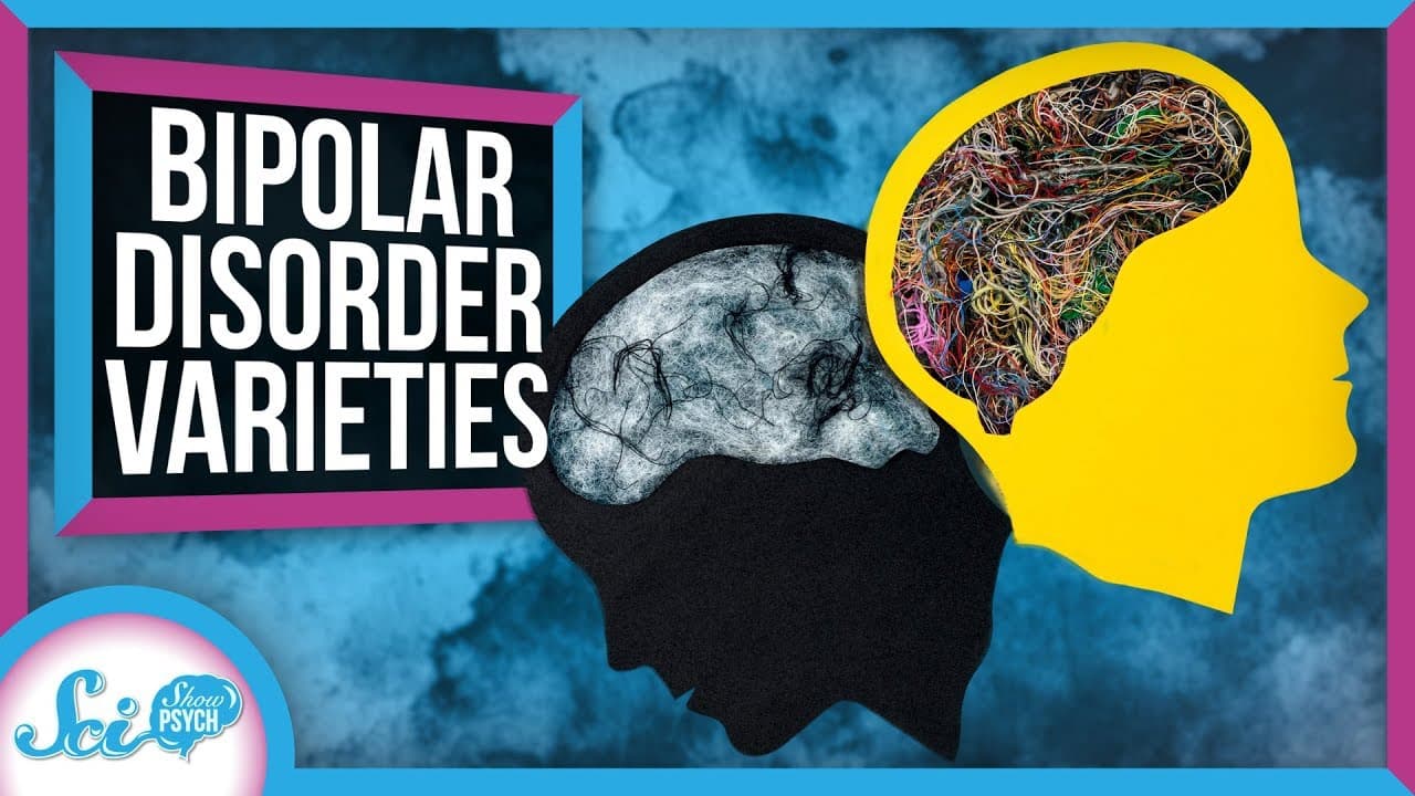 Kolik existuje typů bipolární poruchy?