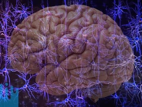 Novinky z vědy a techniky #109: Stáhněte si vědomosti