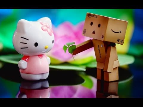 25 zajímavých faktů