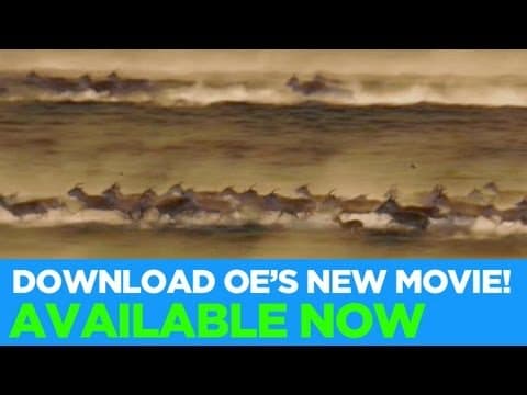 David Attenborough nesnáší přírodu