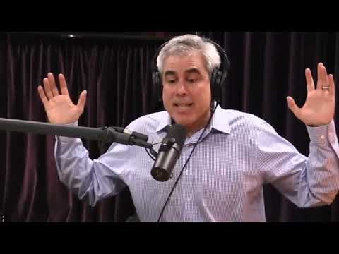 Joe Rogan a Jonathan Haidt o výchově dětí