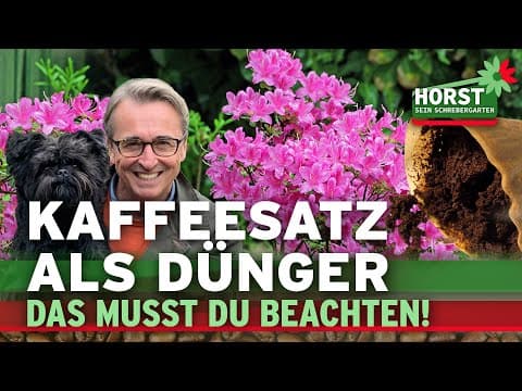 Nevyhazujte kávovou sedlinu! Je dobrá pro rostliny.