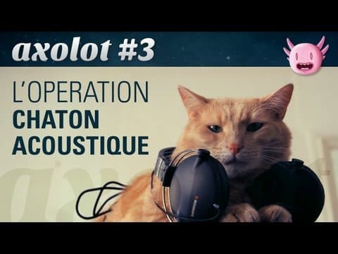 Operace Akustická kočka a další kočičí příběhy