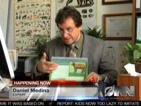 Kravina ve zprávách