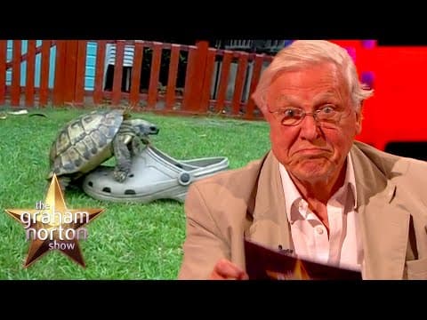 David Attenborough komentuje video s želvou