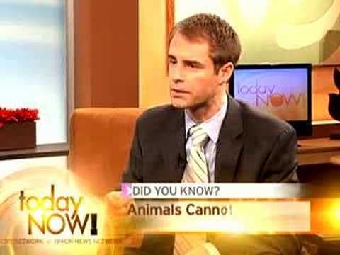 Jak předstírat zájem o politiku