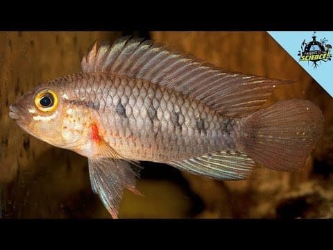 Aktuality ze světa vědy #2