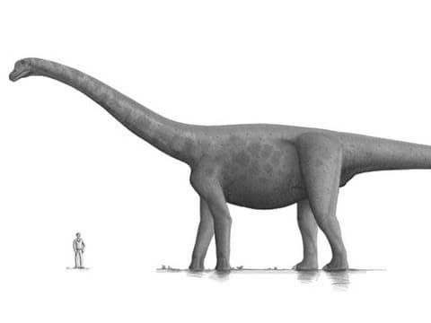 Jak velký může být člověk?