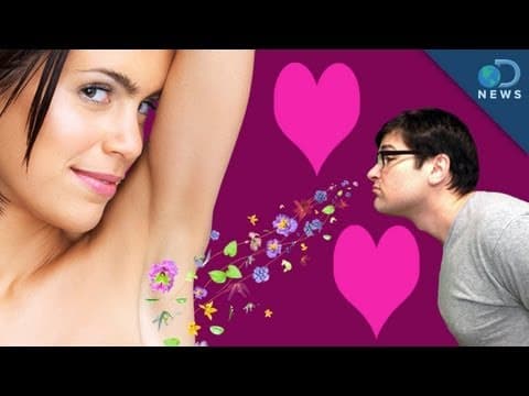 Láska smrdí aneb síla přitažlivosti