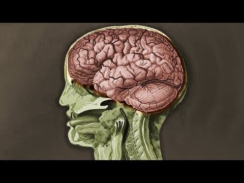 TikToker vypil sklenici muškátového ořechu a tohle se stalo s jeho mozkem