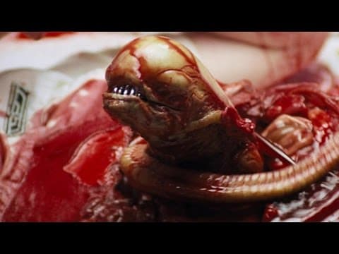 Falická symbolika ve flimu