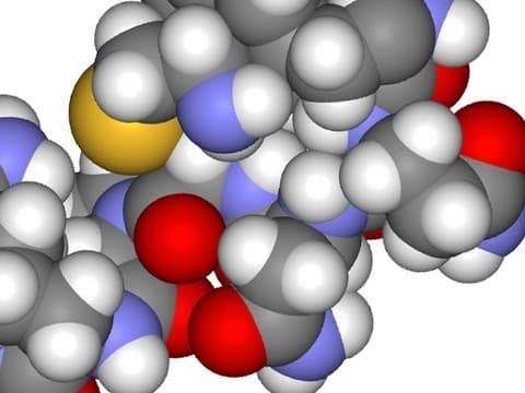 Jakou cenu má láska?