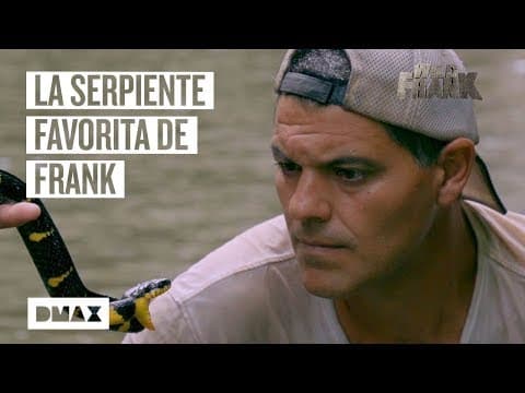 Nejoblíbenější had Wild Franka