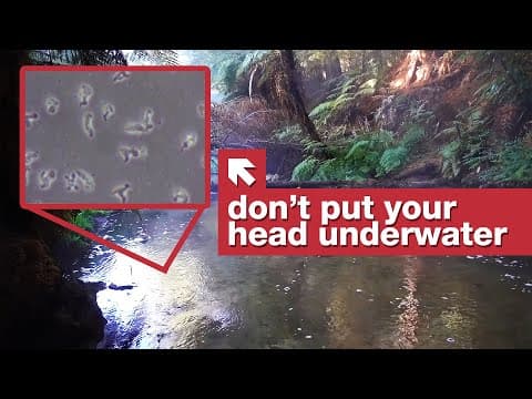 Améby, co požírají mozek