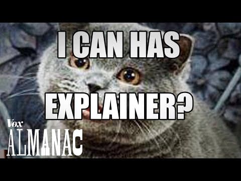 Proč všechny memy používají stejný font?