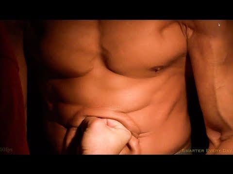 Jak zemřel Harry Houdini