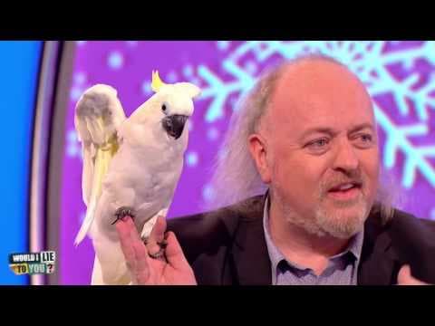 Bill Bailey a papoušek v kině