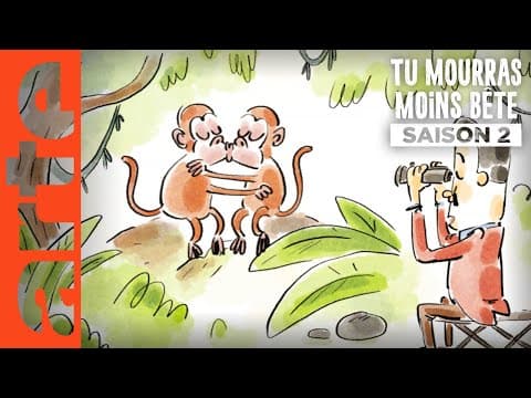 Homosexuální zvířata