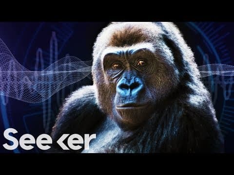 Jak blízko jsme k mluvení se zvířaty?