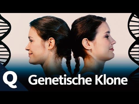 Co prozrazují dvojčata o genech?