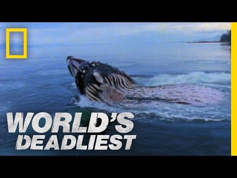 Obří čelisti smrti