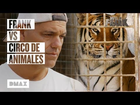 Odvrácená tvář cirkusů se zvířaty