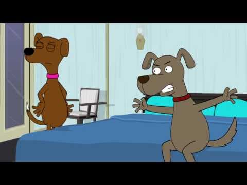 Zvířecí přitažlivost