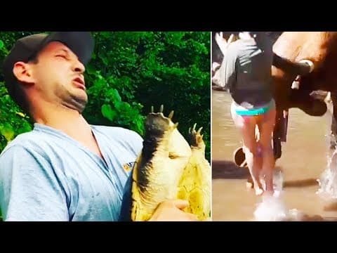 Když se zvířata brání 3