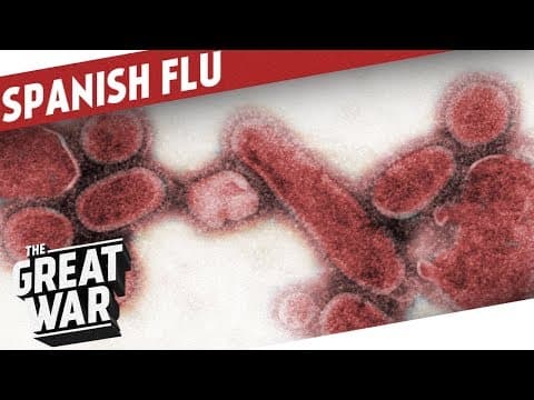 Španělská chřipka – epilog 3