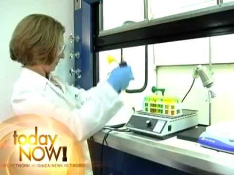 Jak Disney vyrábí hvězdy