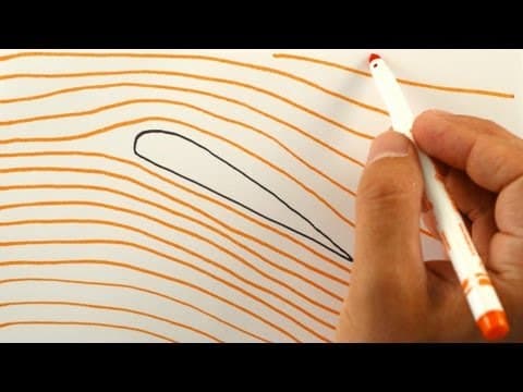 Jak vlastně fungují křídla?