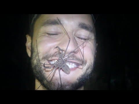 Děšivý bičíkovec