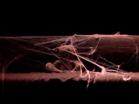 Kaizers orchestra - Ompa til du dør