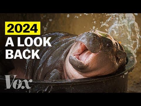 Rok 2024 ve 4 minutách