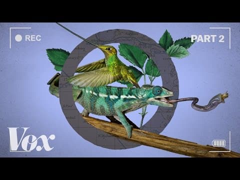 Zázračná planeta II: Jak přírodopisné dokumenty ohýbají čas