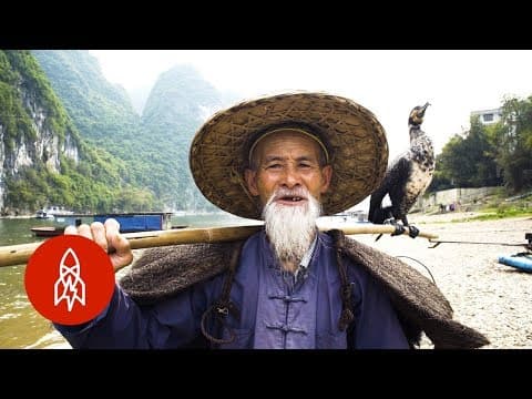 Rybaření s kormorány