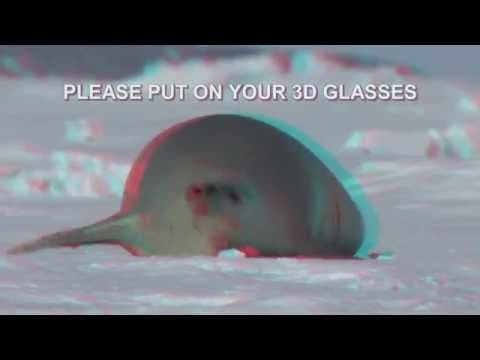 Třikrát John Oliver