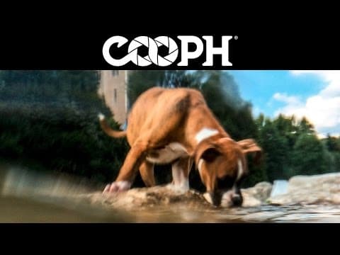 Vychytávky pro focení se smartphonem