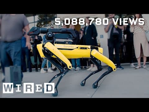 Jak se z robotů Boston Dynamics stala internetová senzace