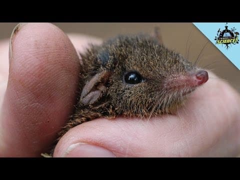 Aktuality ze světa vědy #5