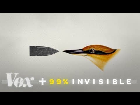 Svět je chabě navržen, ale kopírování přírody pomáhá