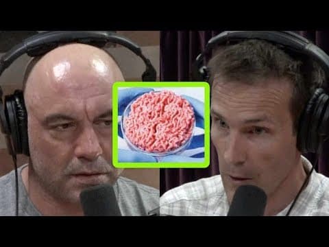 Joe Rogan a Chris Kresser o problematice falešného masa