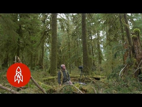 Pár centimetrů ticha