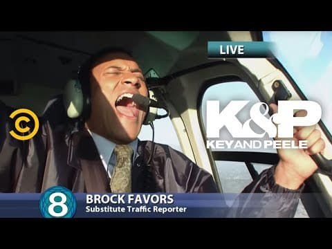 Černý jestřáb vzlétl