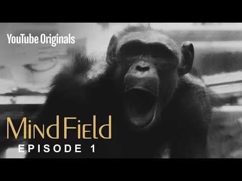 Mind Field: Hypotéza kognitivního vyrovnání