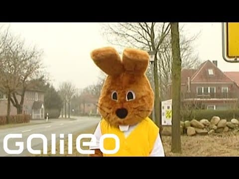 Kde bydlí velikonoční zajíček?